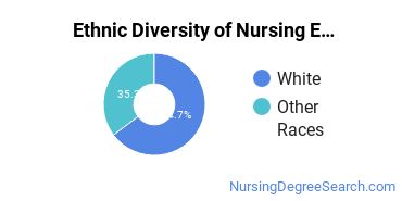 Nursing Education Majors in OK Ethnic Diversity Statistics