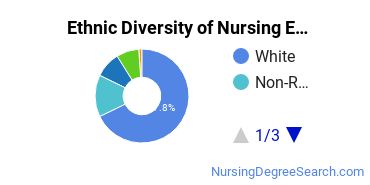 Nursing Education Majors in PA Ethnic Diversity Statistics