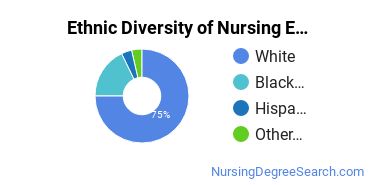 Nursing Education Majors in TN Ethnic Diversity Statistics