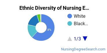Nursing Education Majors in TX Ethnic Diversity Statistics