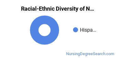 Racial-Ethnic Diversity of Nursing Education Undergraduate Certificate Students