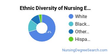 Nursing Education Majors in WI Ethnic Diversity Statistics