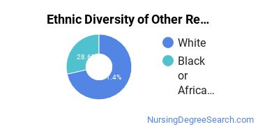 Nursing Research & Other Majors in WI Ethnic Diversity Statistics