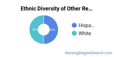 Nursing Research & Other Majors in WY Ethnic Diversity Statistics